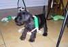 Cliquez ici pour voir l'image (1054.JPG)