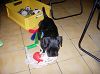 Cliquez ici pour voir l'image (1055.JPG)